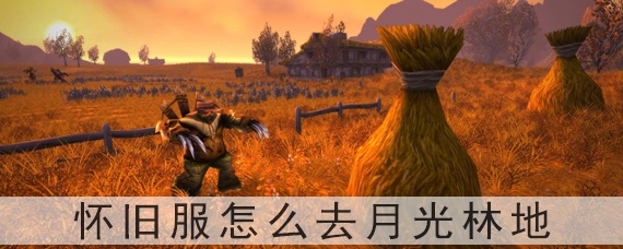 怀旧服怎么去月光林地