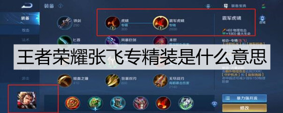 王者荣耀张飞专精装是什么意思