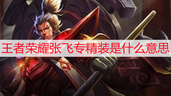 王者荣耀张飞专精装是什么意思